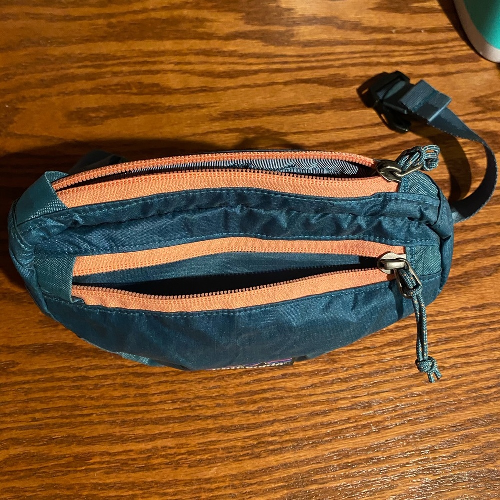 Patagonia mini hip pack